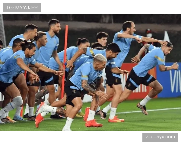 乌拉圭队防守数据飙升，稳健防线成取胜关键