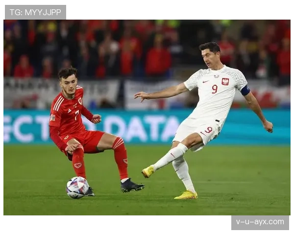 莱万多夫斯基国家队大赛表现解析:关键场次发挥是否稳定